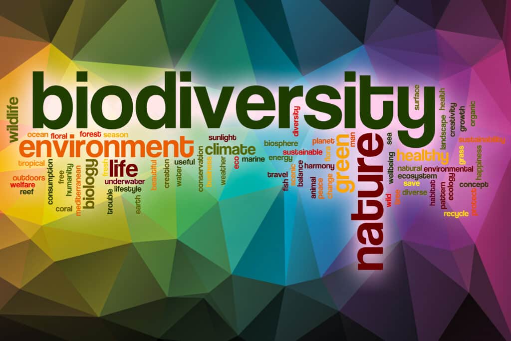 Word collage of biodiversity importance
