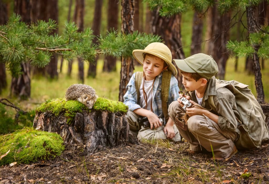 Young boy and girl in forest watching a hedgehog. Boy has a camera.