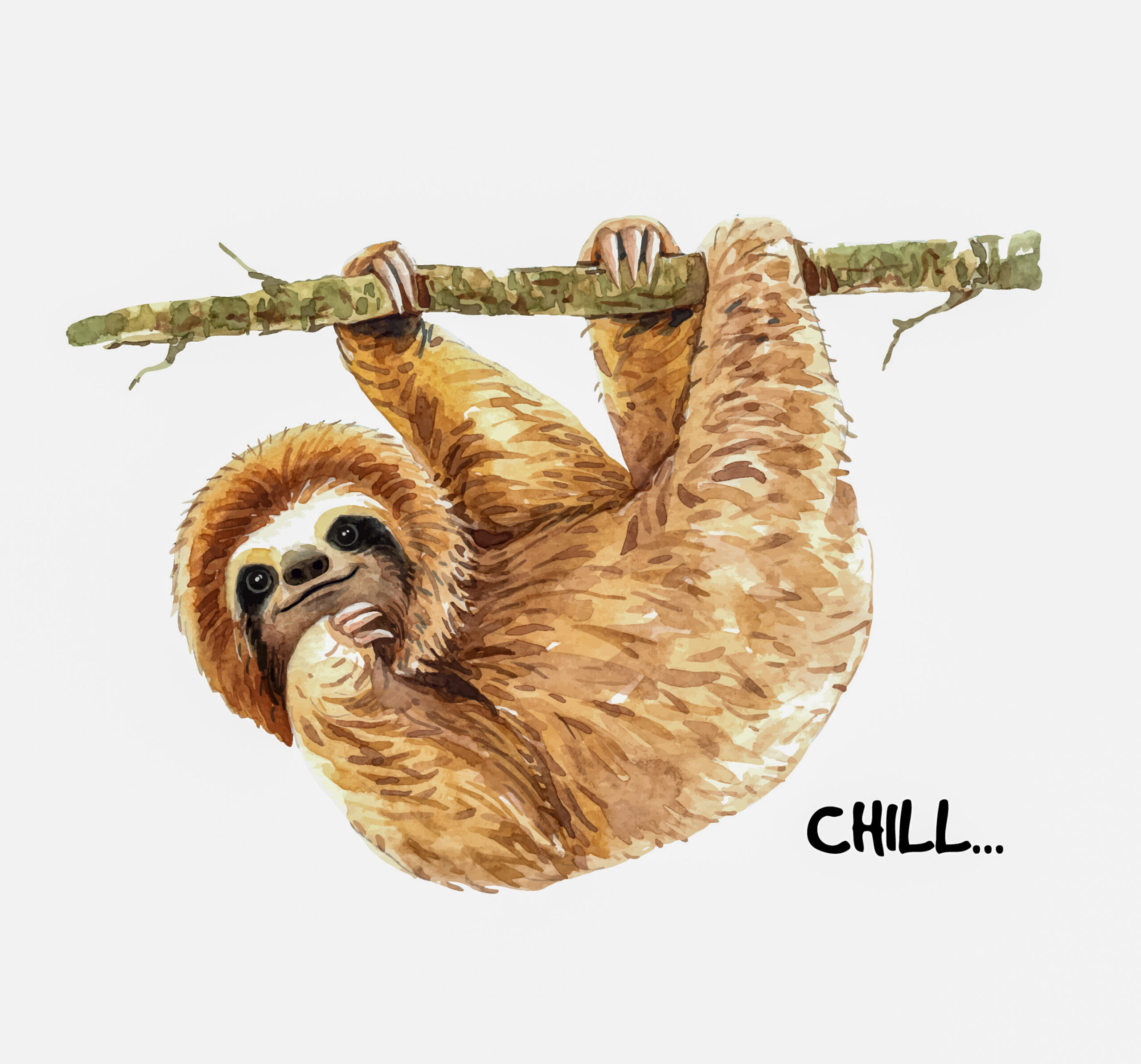 Cartoon character of a sloth hanging from a branch. His name is Chill.