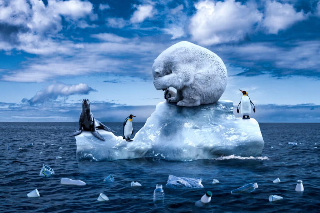 Polar bear, seals and penguins on ice floe with pollution surrounding them