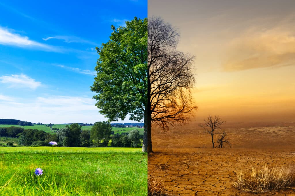 Split photo with one side fertile and the other barren - climate change