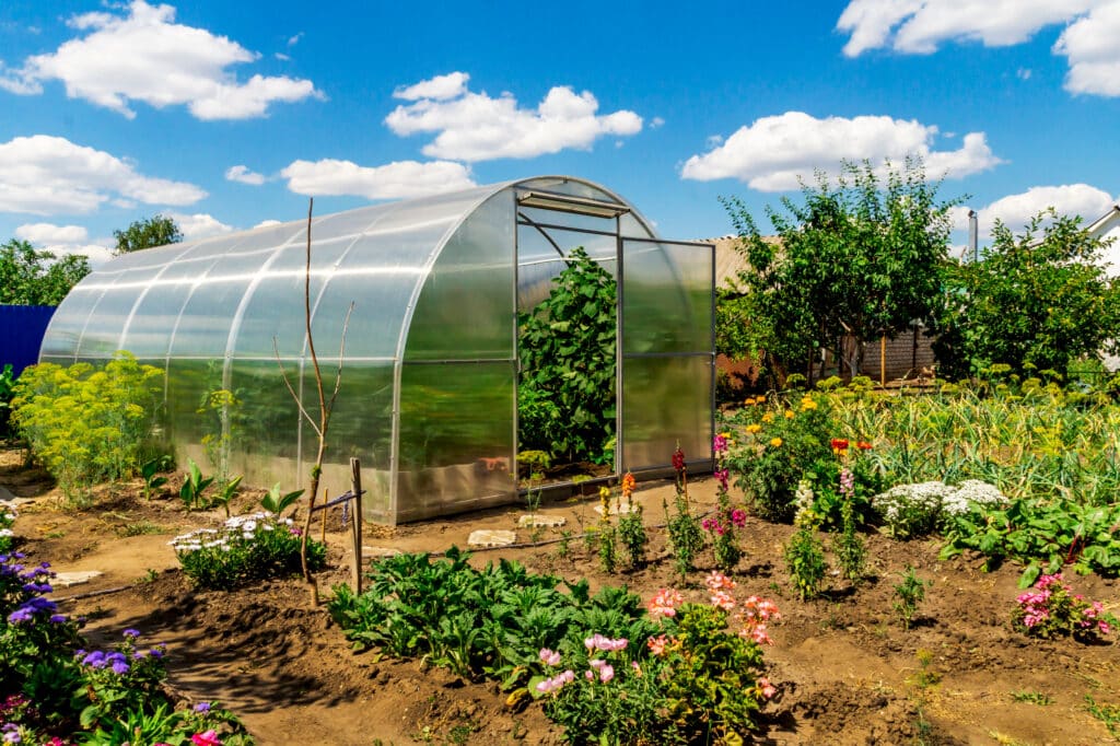 Rural greenhouse with surrounding gardens