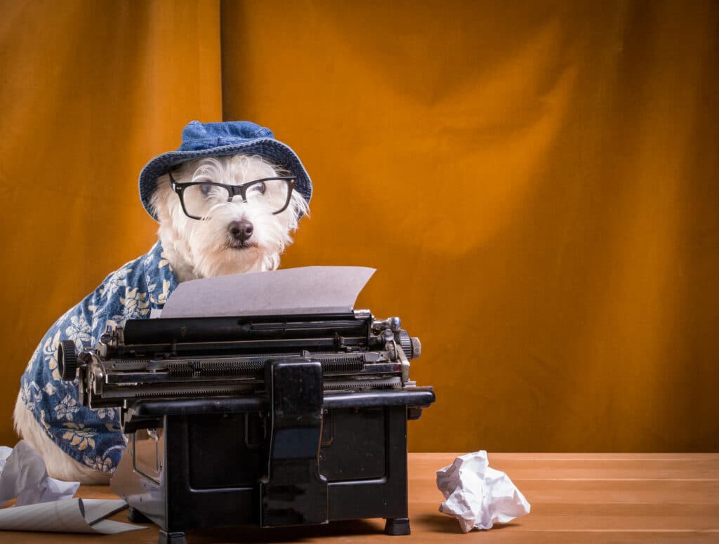 Dog with blue cap and glasses at an old typewriter.