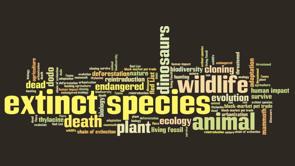 Extinct species word cloud