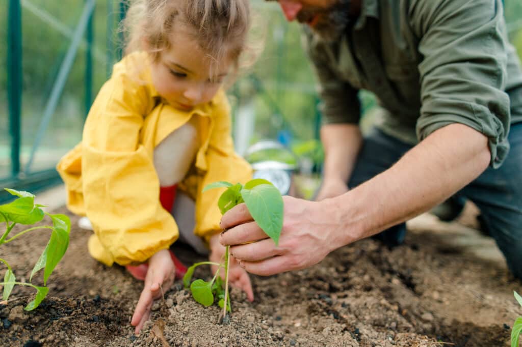 Father teaching daughter about planting a plant