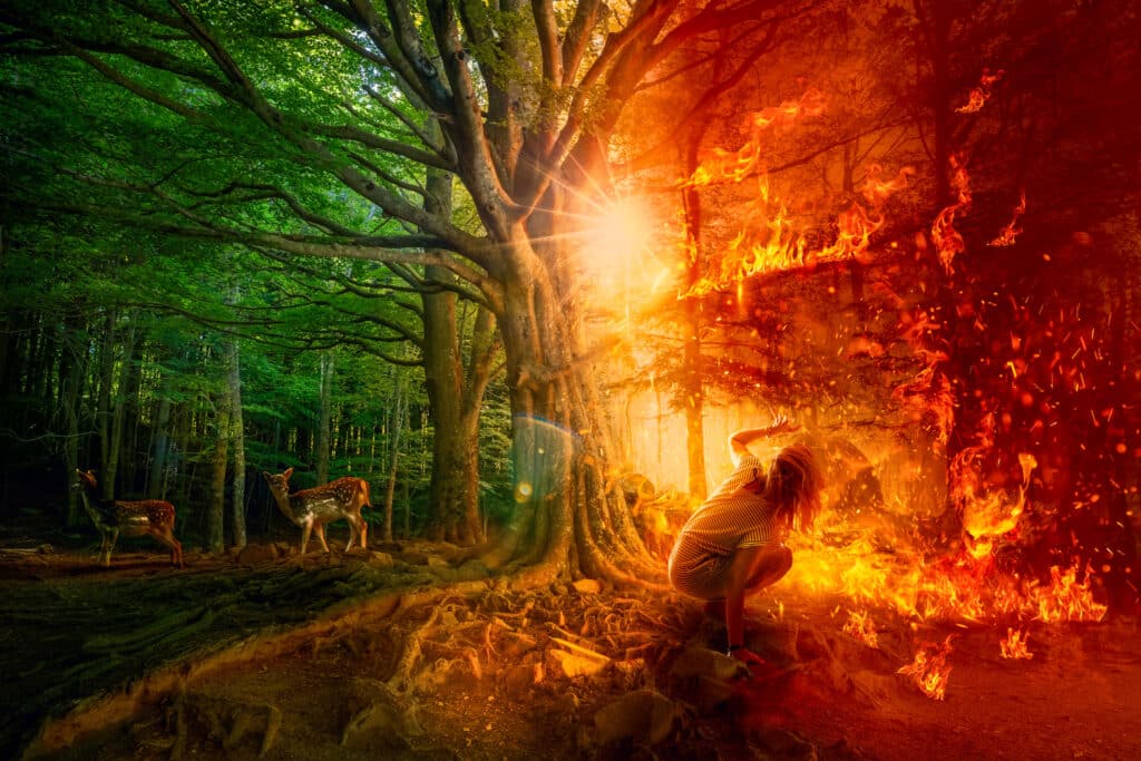 Forest fire burning on right side of image. Young woman cowering before Climate Change flames. Deer moving away from fire in green forest.