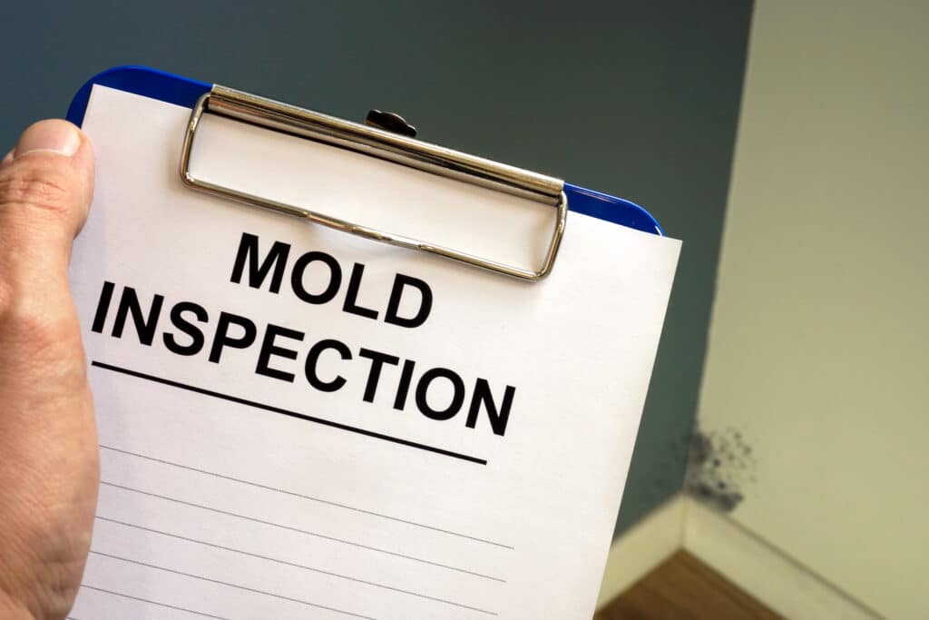 Mold report on clipboard